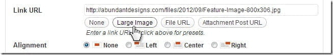 wordpress-large-image-embed
